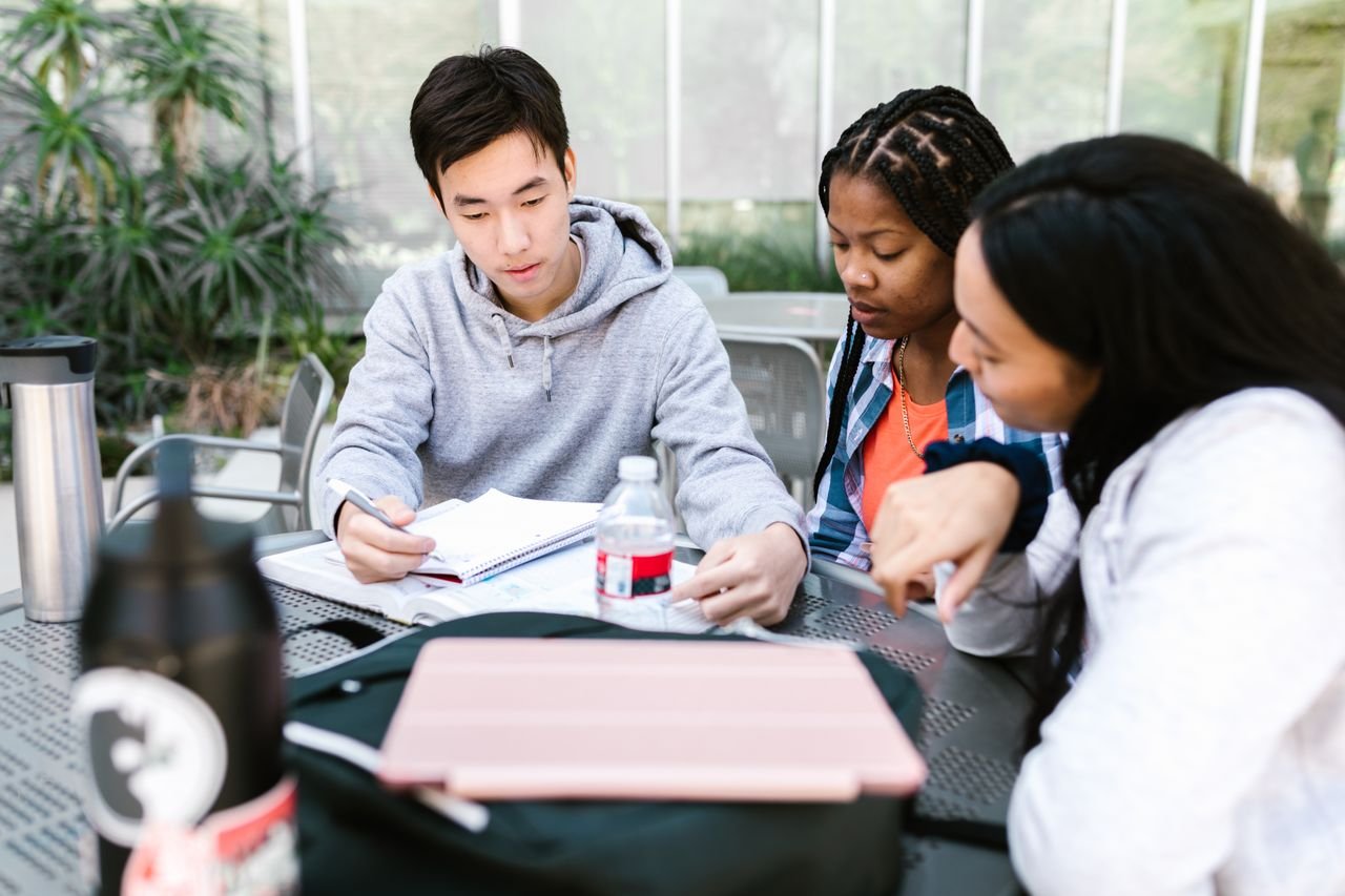 Diverse group of students collaborating and studying outdoors on a sunny day.
